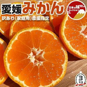 Q@n ݂@󂠂@3kg yoדCEwsz(TCYEƒp)@y_wzyV×fBAT[rX×MtgLER{iz