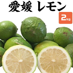 @󂠂@2kgEYƒp@1 @QYES̃yh܁EbNXsgpzƖpłE