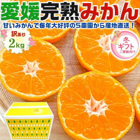 完熟　愛媛 みかん　訳あり　箱買い　2kg　1箱　サイズ混合【出荷日お任せ・指定日不可】 愛媛県産　みかん・家庭用　柑橘　お買得　フルーツ　温州みかん　送料無料