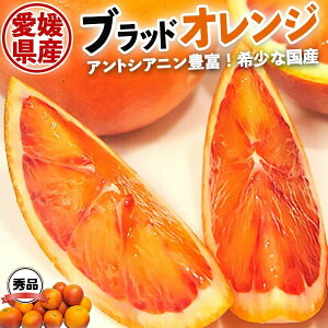 �ő�2000�~�N�[�|�������Q �u���b�h�I�����W �@�G�i�@5kg S-2L �T�C�Y�����@���Q���Y�@�^���b�R�I�����W�y�o�ד����C���E�w����s�z��������