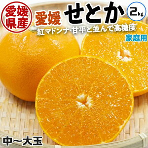 ���Q�@���Ƃ��@�݂���@�󂠂�@�ƒ�p�@2kg�@L�`4L�T�C�Y���C�� �������@�������@���Q���Y (�g�}�h���i�E�Õ��ƕ��ԍ������k)�y�o�ד����C���E�w����s�z2�L���@���ƒ�p�M�t�g�@����