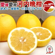 訳あり 愛媛　河内晩柑　10kg 小玉 SS〜Sサイズ混合(バラ詰め)　宇和ゴールド 同品種　【8月以降見た目が…