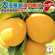 愛媛 訳あり　河内晩柑　大玉限定 BIG　9kg 3Lサイズ 以上 お任せ 甘い かわちばんかん 宇和ゴールド 同…