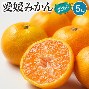 ő2000~N[|n@Q݂@󂠂@5kg@TCYCyoדCEwszQY@ӊ@ƒ~Mtg@@t[c@k@