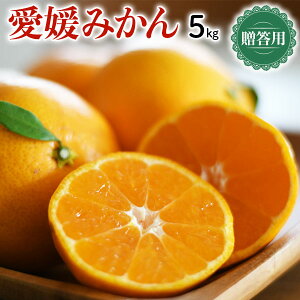 Q݂@p@5kg@M`LTCYyoדCEwszQY@Ε@NX}X@Mtg@~Mtg@@t[c@k@