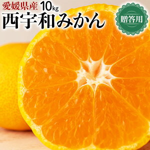 yFaY z Q@Fa ݂@p@10kg@S`LTCYyoדCEwszQłN݂̂@Q@ƒMtgΕɁ@