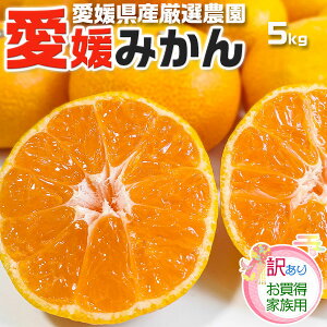 yI_zQ@n݂@󂠂@5kg yoדCEwsz(TCYEƒp)@