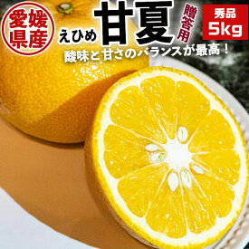 甘夏(あまなつ) 秀品　贈答用　5kg　L～3Lサイズ　1箱 愛媛県産【サイズお任せ・出荷日お任せ・指定日不可】送料無料