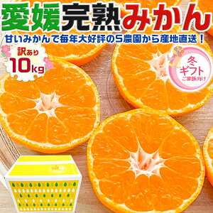 n@Q ݂@󂠂@@10kg@1@TCYyoדCEwsz QY@݂Eƒp@k@@t[c@B݂@