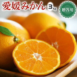 Q݂@p@3kg@M`LTCYyoדCEwszQY@Ε@NX}X@Mtg@~Mtg@@t[c@k@