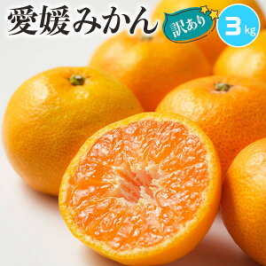 n@Q݂@󂠂@3kg@TCYCyoדCEwszQY@ӊ@ƒ~Mtg@@t[c@k@