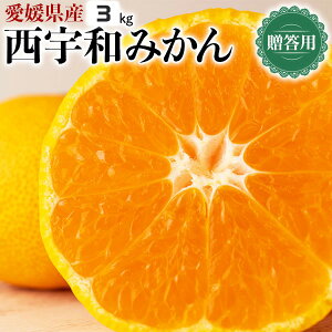 yFaY z Q@Fa ݂@p@3kg@S`LTCYyoדCEwszQłN݂̂@Q@ƒMtgΕɁ@