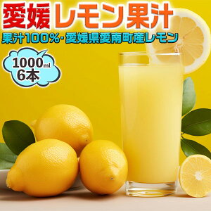 Q ʏ` 1000ml 6{Zbg ܂Ƃߔ@Xg[gʏ`100%EQ쒬Ygpyʏ`100%zl[h⃌EEَqEȂǂɂgpbƒpEƖ