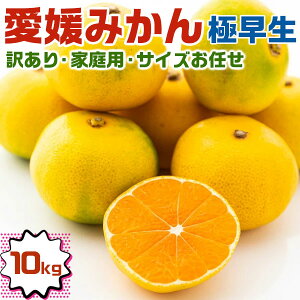 Q݂@ɑ݂@󂠂Eƒp@TCYC@10kg@1@QY@ƒpMtgɂE߂̂Ε@