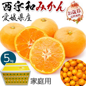 Fa݂@󂠂@ɂ~J@5kg@TCYyoדCEwsz (QFaY@݂Eƒp)