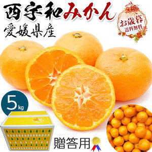 Fa ݂@p@ɂ~J@5kgyoדCEwsz(QFaYETCY)