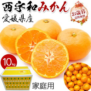 Fa݂@󂠂ETCY@ɂ~J@10kgyoדCEwsz(QFaY@݂Eƒp)