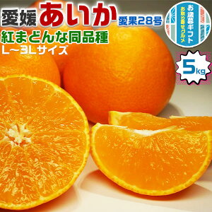 ő2000~N[| ݂@( g܂ǂ i) 5kg@TCYC@ƒp@28@yQY k Q ܂ǂ izƑւ̂ΕɁ@݂@~Mtg@