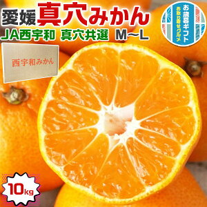 Ε@Fa ݂@^݂@10kg M`LTCY C@ɂE݂@yQ@FaE^nz~V[Y̊kE㋉EMtg@~Mtg@NX}X@@