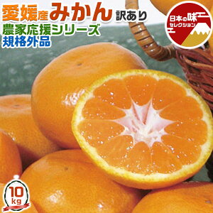 ő2000~N[| Q@݂@󂠂 10kg @S`LTCYC _V[Y KiOykzyoדCEwszMtg @SMC