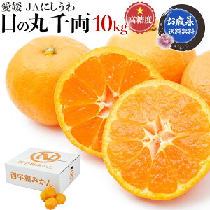 ̊ ݂@10kg@M`LTCY@ہ@ƒp@x11.5xȏ@ẙې痼݂EJAɂzQFaY@~V[Y̊kEMtgifUCςꍇLj