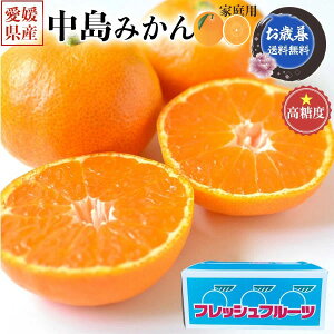 ő2000~N[| ݂ Q݂ n 10kg@MTCY@ƒp@x11xOyQYz~V[Y̊k@kMtg@i{[l߁@