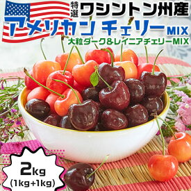 ワシントン州産 高級 アメリカンチェリー MIX【2kg】食べ比べ 大粒ダーク&レイニア MIX 特撰大粒 さくらんぼ レーニア種　ビング種　ギフト 高糖度・高級チェリー　お中元 果物　百貨店品質【6月20日～8月9日の出荷予定】送料無料 00018K