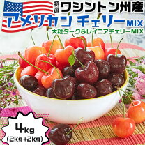 楽天市場】アメリカンチェリー オレゴンの通販