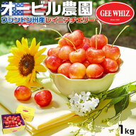 最大2000円クーポン◆オービル農園　アメリカン チェリー 1kg　GEE WHIZ 超大粒　レイニア 種 ワシントン…