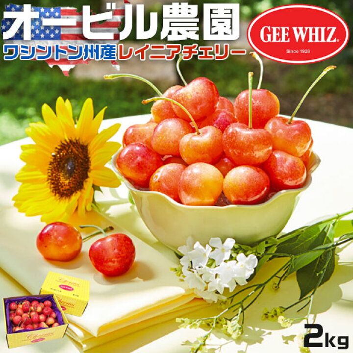 楽天市場】【最大2000円OFFクーポン】さくらんぼ オービル農園  
