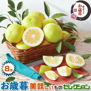 Ε b S[h (AJEJtHjAY) MTCY@8@ ق̂Ân VkyoדCEwszt[c@W[Xɂ@󏭉ʕ@yY@Mt