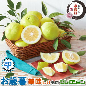 Ε b S[h (AJEJtHjAY) MTCY@20@ ق̂Ân VkyoדCEwszt[c@W[Xɂ@󏭉ʕ@yY@M