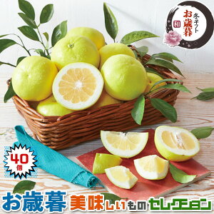 Ε b S[h (AJEJtHjAY) MTCY@40@ ق̂Ân VkyoדCEwszt[c@W[Xɂ@󏭉ʕ@yY@M