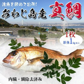 旬の真鯛　1枚　1kg(原体)　淡路島産　兵庫県産　血抜き・内臓鱗除去済み【料亭卸品質】あわじ島の活魚を絞めて出荷いたします　送料無料