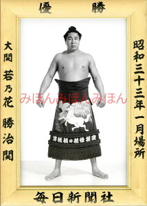 Tԏց@D~jz 告o~jz 告oDz@a33N1ꏊ D  Tԏցi2ڂ̗DjDLOi oObY ͎mObY oObY Z i LOi R