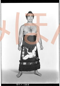 ő2000~N[|Yց@D~jz 告o~jz 告oDz@a33N3ꏊ D  Yցi3ڂ̗DjDLOi oObY ͎mObY oObY Z 