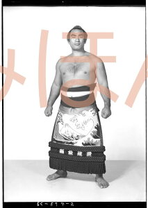 Yց@D~jz 告o~jz 告oDz@a33N11ꏊ D  Yցi4ڂ̗DjDLOi oObY ͎mObY oObY Z i LOi R