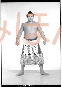 QKց@D~jz 告o~jz 告oDz@a37N1ꏊ D j QKցi5ڂ̗DjDLOi oObY ͎mObY oObY Z i LOi RN