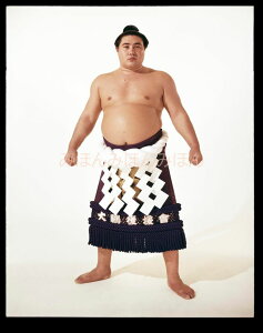 ő2000~N[|QKց@D~jz 告o~jz 告oDz@a41N9ꏊ D j QKցi22ڂ̗DjDLOi oObY ͎mObY oObY Z 