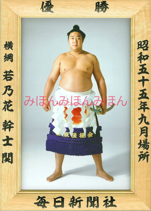 楽天市場】若乃花幹士関 優勝ミニ額 大相撲ミニ額 大相撲優勝額 昭和 