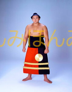 Mԓciց@D~jz 告o~jz 告oDz@4N9ꏊ D  Mԓciցi2ڂ̗DjDLOi oObY ͎mObY oObY Z i LOi R