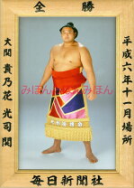 楽天市場】貴乃花光司の通販