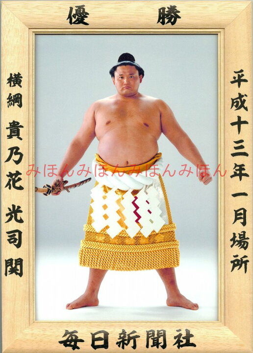 楽天市場】貴乃花光司関 優勝ミニ額 大相撲ミニ額 大相撲優勝額 平成 