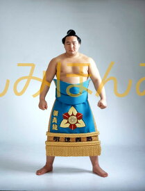 朝青龍明徳関　優勝ミニ額 大相撲ミニ額 大相撲優勝額　平成14年11月場所 優勝 大関 朝青龍明徳関（初優勝）優勝記念品 相撲グッズ 力士グッズ 相撲取りグッズ 国技館 限定品 記念品 コレクション 写真 H1411