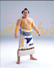 朝青龍明徳関　優勝ミニ額 大相撲ミニ額 大相撲優勝額　平成15年1月場所 優勝 大関 朝青龍明徳関（2回目の優勝）優勝記念品 相撲グッズ 力士グッズ 相撲取りグッズ 国技館 限定品 記念品 コレクション 写真 H1501