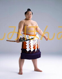 朝青龍明徳関　優勝ミニ額 大相撲ミニ額 大相撲優勝額　平成15年5月場所 優勝 横綱 朝青龍明徳関（3回目の優勝）優勝記念品 相撲グッズ 力士グッズ 相撲取りグッズ 国技館 限定品 記念品 コレクション 写真 H1505