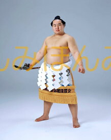 朝青龍明徳関　優勝ミニ額 大相撲ミニ額 大相撲優勝額　平成16年3月場所 全勝 横綱 朝青龍明徳関（6回目の優勝）優勝記念品 相撲グッズ 力士グッズ 相撲取りグッズ 国技館 限定品 記念品 コレクション 写真 H1603