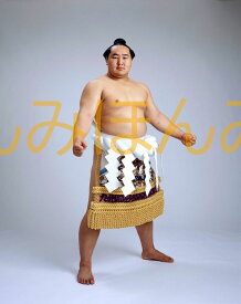 朝青龍明徳関　優勝ミニ額 大相撲ミニ額 大相撲優勝額　平成16年5月場所 優勝 横綱 朝青龍明徳関（7回目の優勝）優勝記念品 相撲グッズ 力士グッズ 相撲取りグッズ 国技館 限定品 記念品 コレクション 写真 H1605