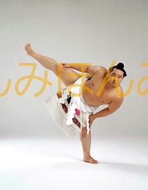 朝青龍明徳関　優勝ミニ額 大相撲ミニ額 大相撲優勝額　平成16年7月場所 優勝 横綱 朝青龍明徳関（8回目の優勝）優勝記念品 相撲グッズ 力士グッズ 相撲取りグッズ 国技館 限定品 記念品 コレクション 写真 H1607