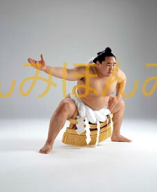 朝青龍明徳関　優勝ミニ額 大相撲ミニ額 大相撲優勝額　平成16年11月場所 優勝 横綱 朝青龍明徳関（9回目の優勝）優勝記念品 相撲グッズ 力士グッズ 相撲取りグッズ 国技館 限定品 記念品 コレクション 写真 H1611